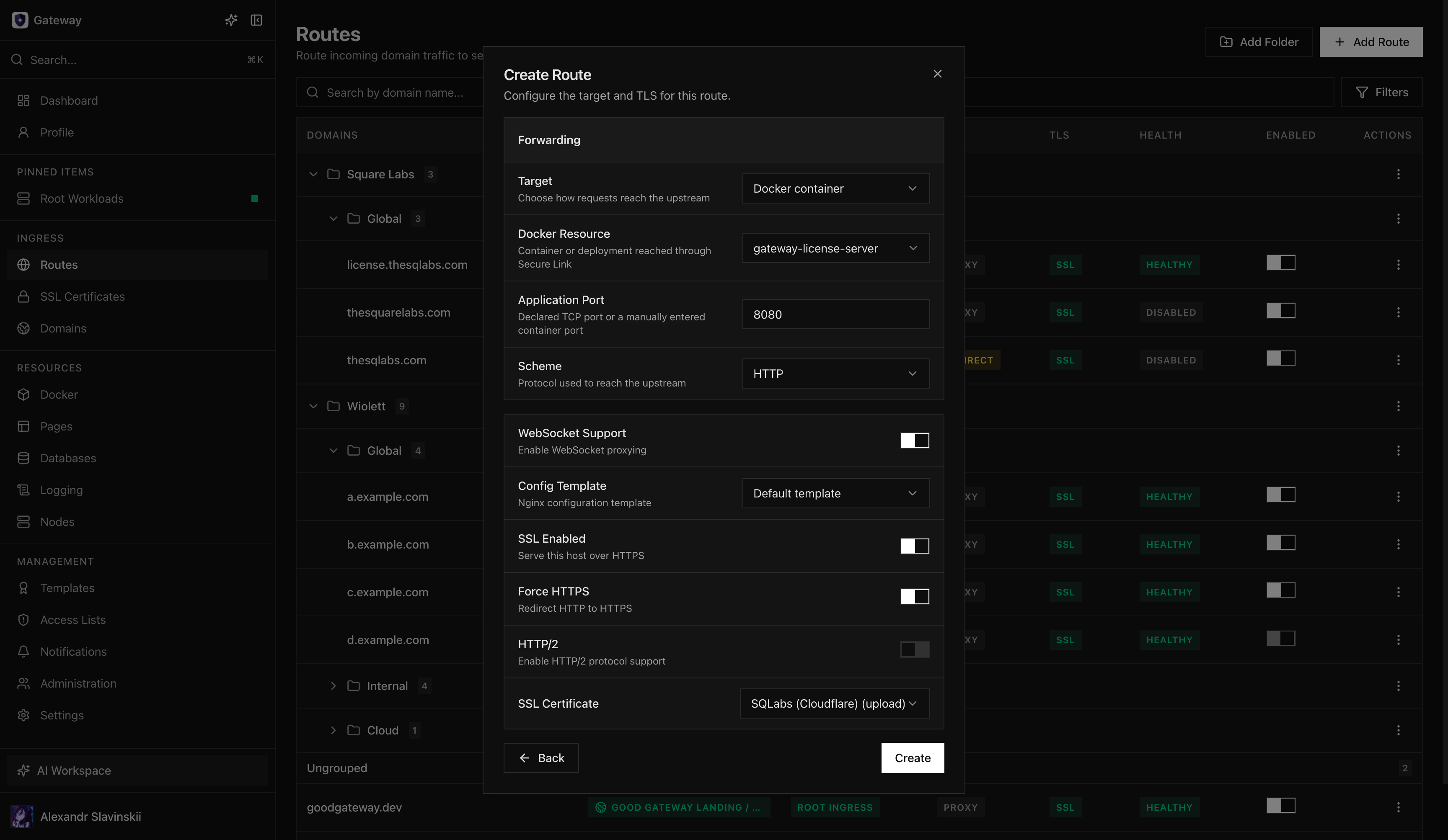 Диалог создания Route с Docker-целью, портом приложения и настройками TLS